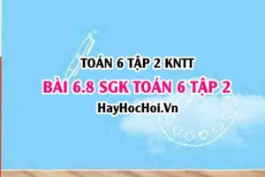 Bài 6.8 SGK Toán 6 tập 2 Kết nối tri thức